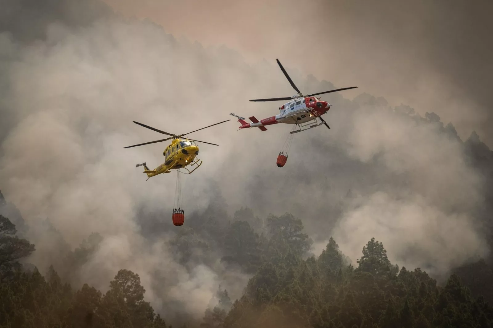 incendie ravageur tenerife