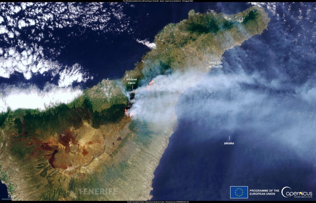 incendie forêt tenerife
