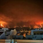 incendie forêt de tenerife