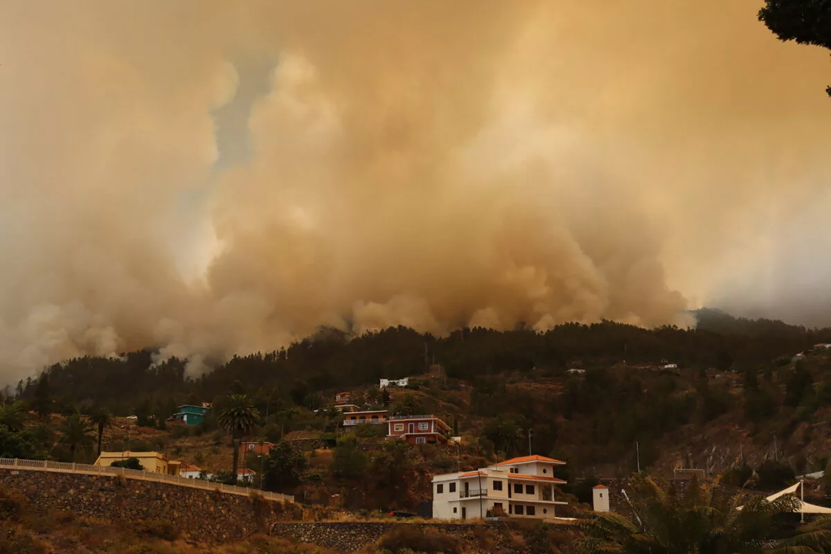 incendie canaries