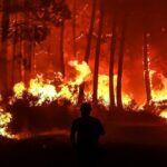 incendie forêt tenerife