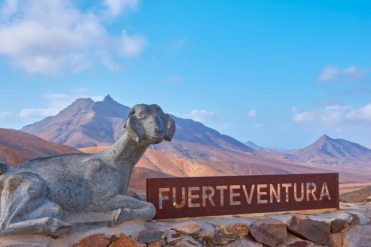 choisir fuertenventura