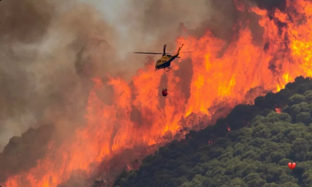 incendie à tenerife