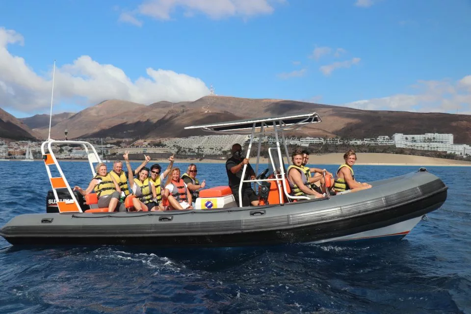 dauphins fuerteventura