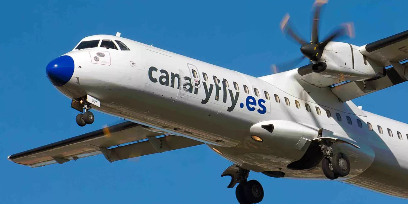 canaryfly