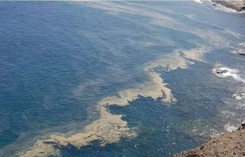 Cyanobactéries aux Canaries