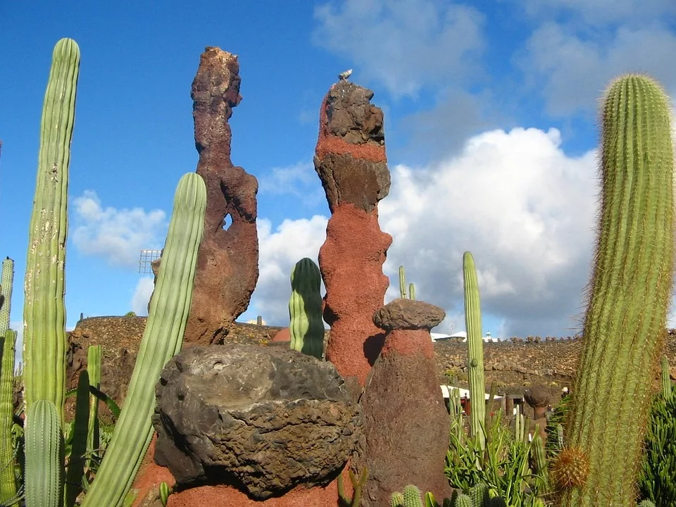 quand partir à lanzarote